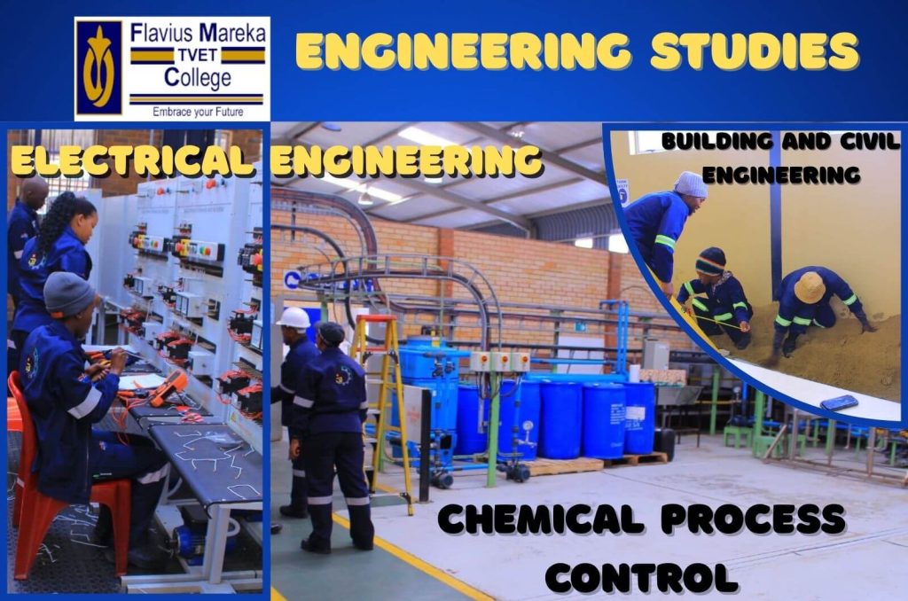 FlaviusMareka Engineering Studies