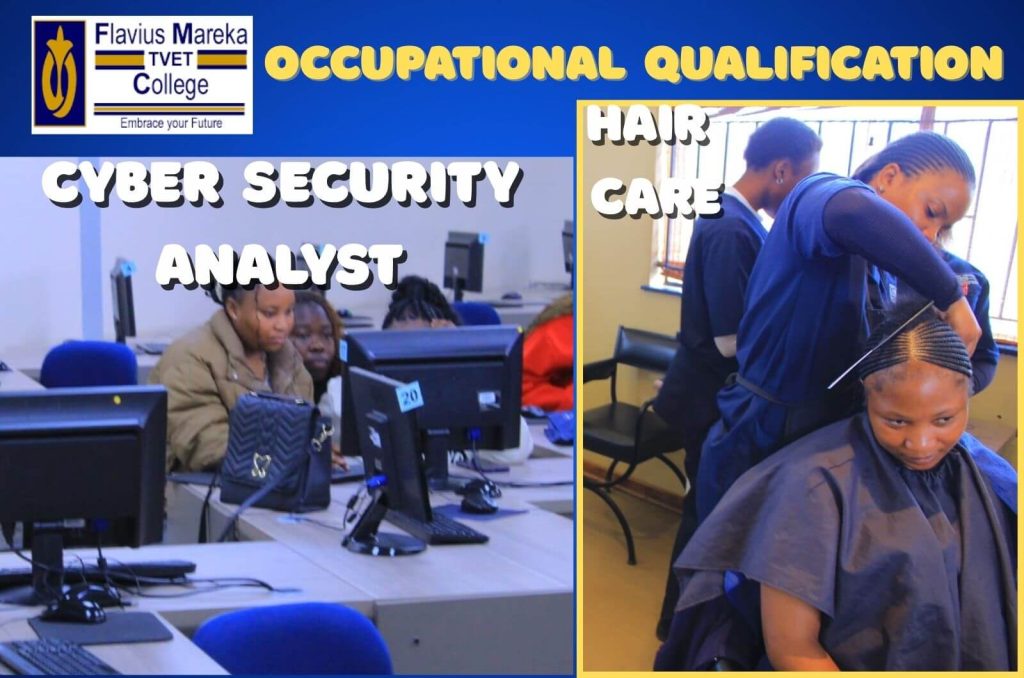 FlaviusMareka Occupational Qualification Programs